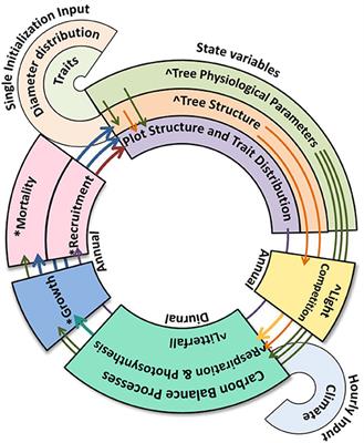 Individual-Based Modeling of Amazon Forests Suggests That Climate Controls Productivity While Traits Control Demography